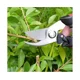 thumbnail image 2 of Tijeras de podar, tijeras de podar, tijeras de setos y tijeras para flores para el cuidado del césped Kit de poda de jardín profesional, 2 of 2