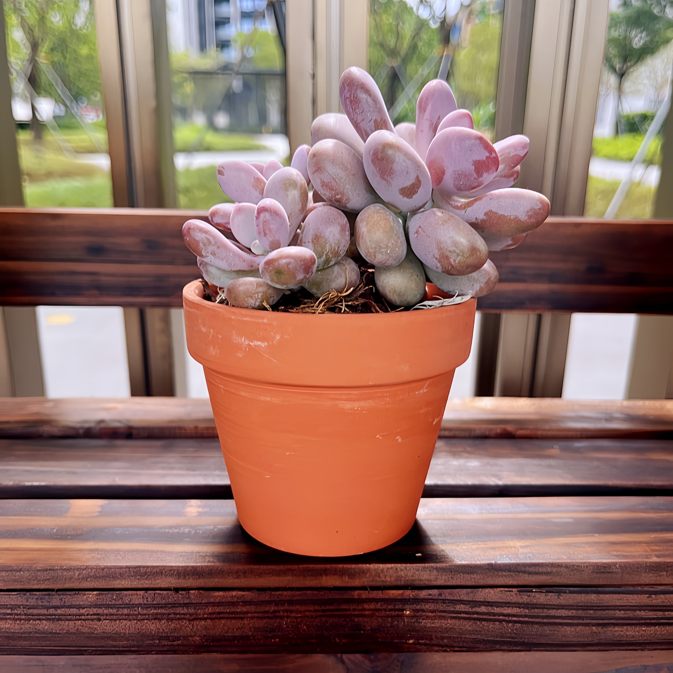 10pcs 4 Inches Terra Cotta Pots Pottery Planter Cactus Flower Pot Succulent Pot With Drainage Hole Great For Plants, Crafts, For Indoor, Outdoor, Home Office Decoration