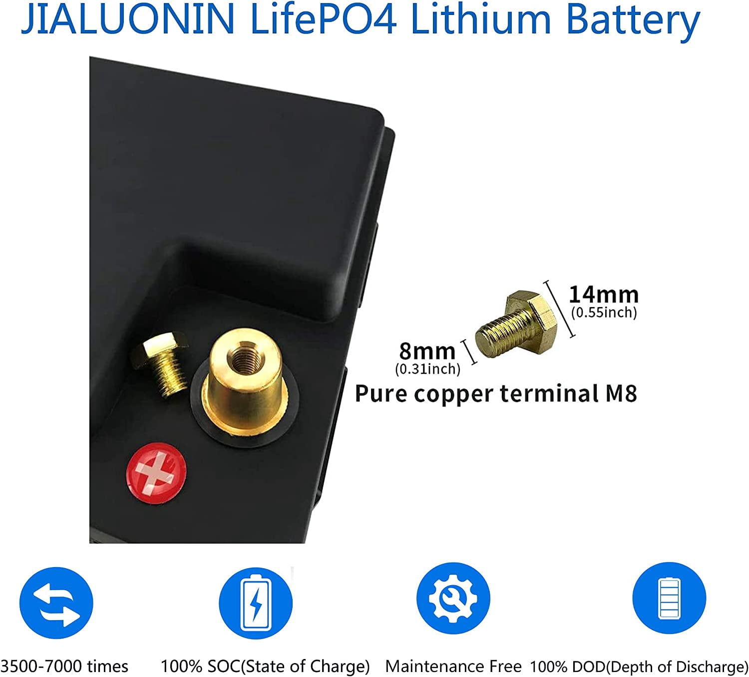 PUPVWMHB LiFePO4 Lithium Ion 12.58 Volt Vehicle Battery