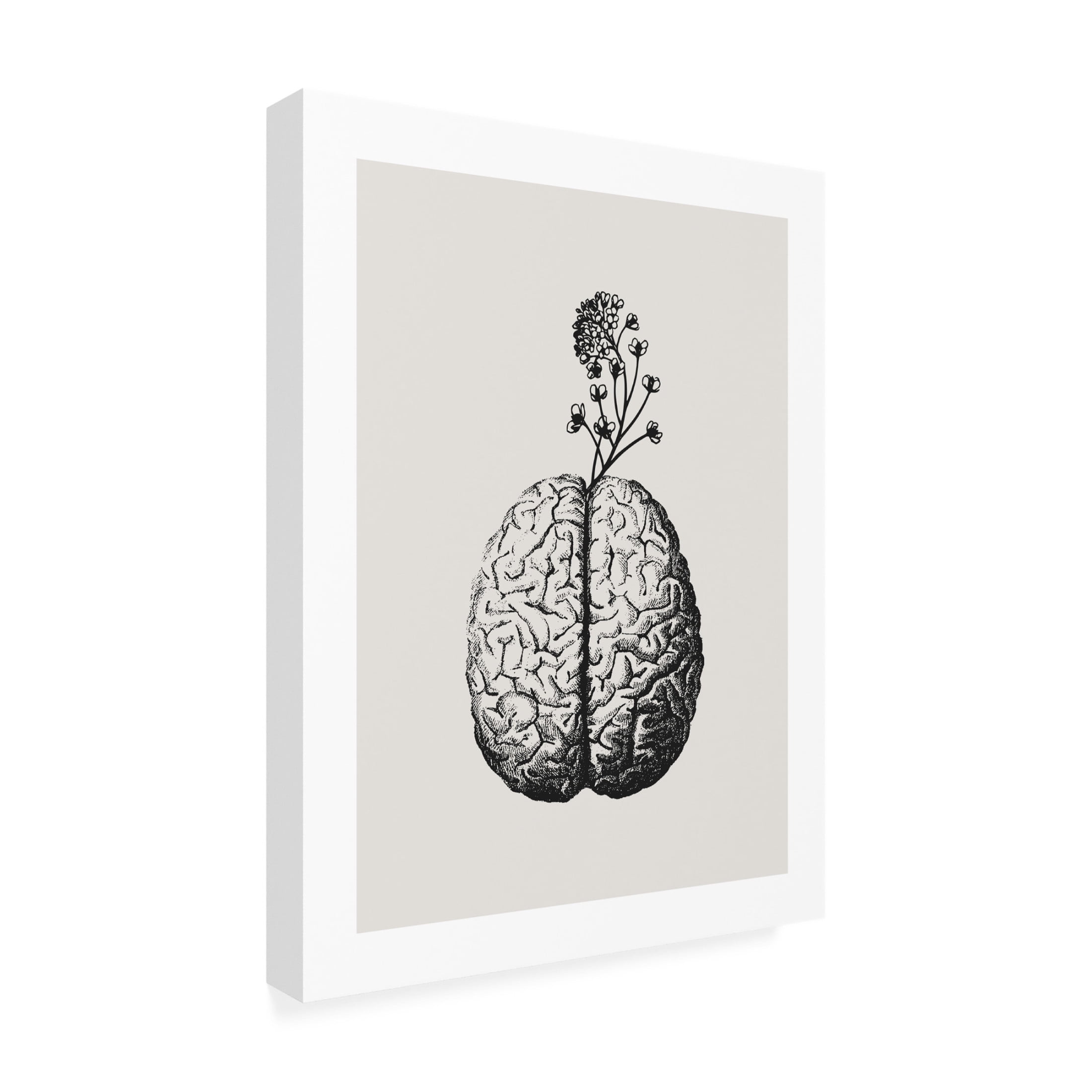 Trademark Fine Art Beth Cai  Brain Bloom Canvas Wall Art
