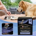 thumbnail image 2 of Suplementos probióticos para perros y gatos Productos de salud, 2 of 7
