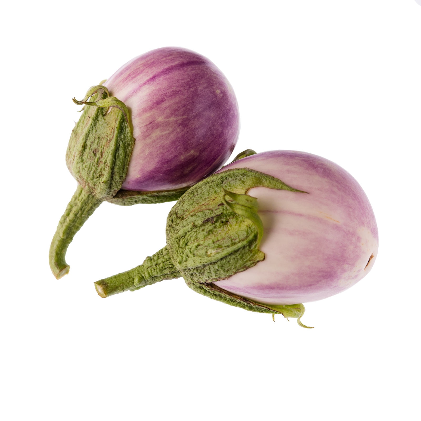 Italian Rosa Bianca Eggplant Garden Seeds 500 Seeds NonGMO