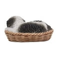 thumbnail image 2 of Hi-Line Gift Ltd Pet Pals-Wicker Basket-Shih Tzu, Black/White, 2 of 5