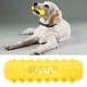 thumbnail image 5 of Juguete Limpiador De Dientes De Perro Con Barra Molar Dentada Vocal Para Masticar Y Limpiar Cepillo De Dientes Resistente A Mordeduras Para Mascotas, 5 of 7