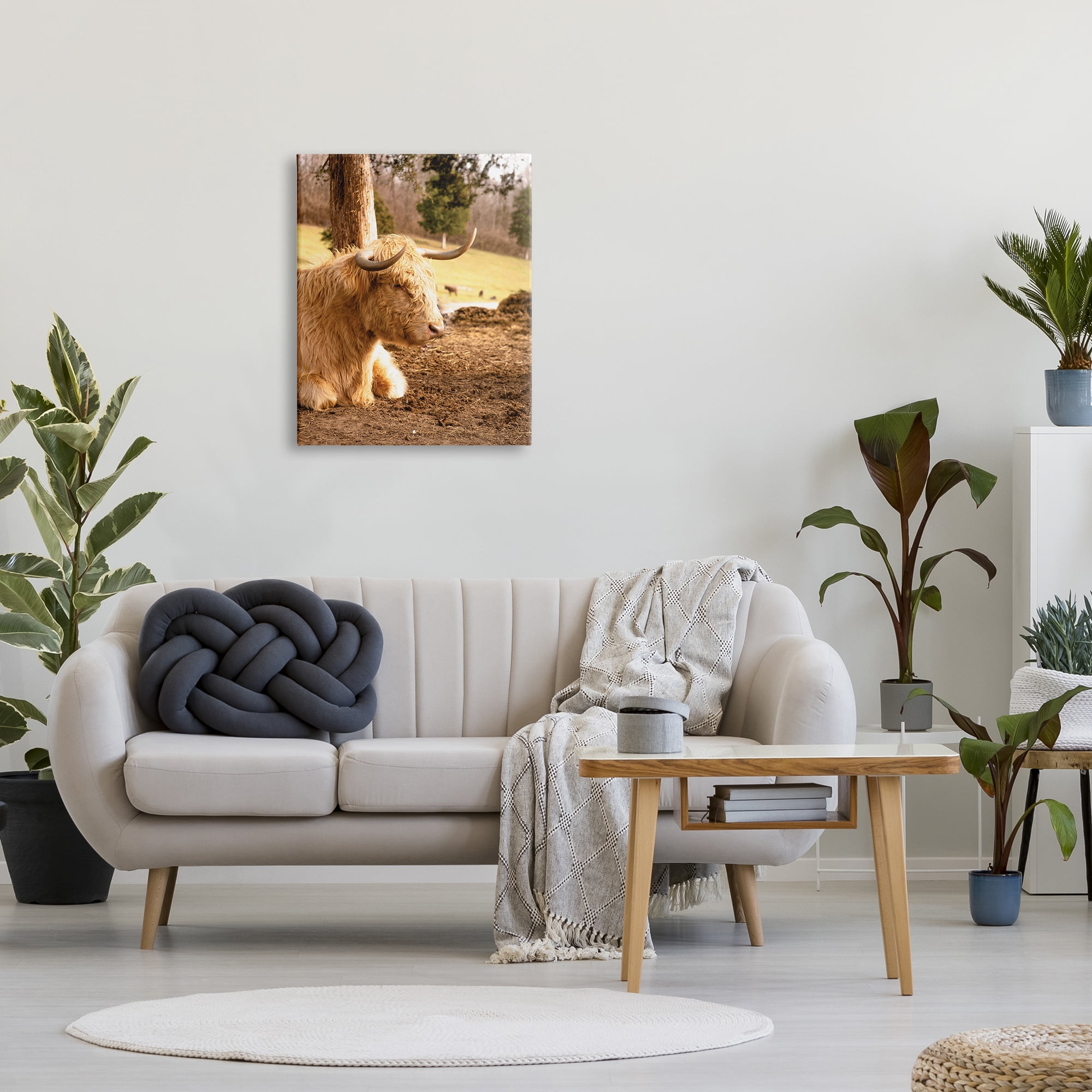 Stupell Industries Relaxing Cattle Lying Beneath Tree Grazing Farmland Meadow Photograph Gallery Wrapped Canvas Print Wall Art, Design by Donnie Quillen