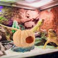 thumbnail image 4 of unbranded De Acuario Con Calabaza De Resina Para Paisajismo Acuático, 4 of 6