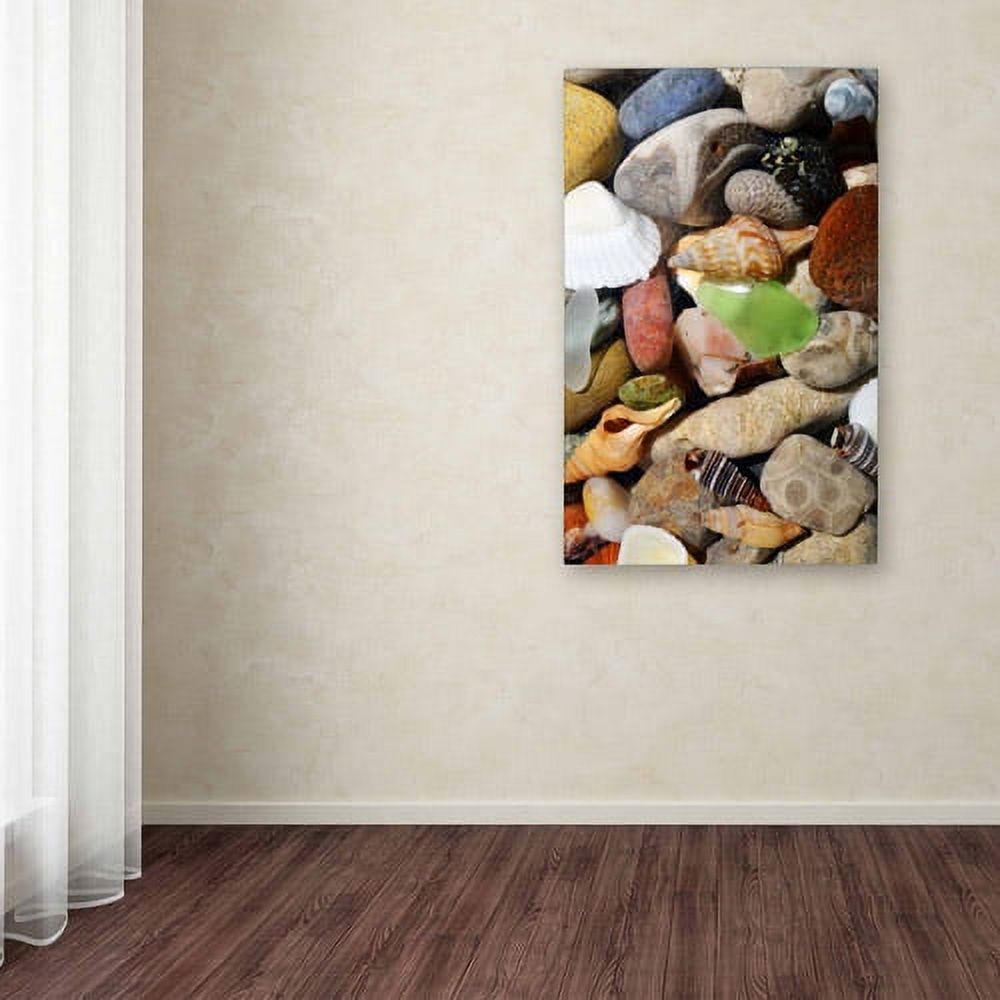 Trademark Fine Art "PetoskeyStones l" Canvas Art by Michelle Calkins