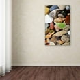 thumbnail image 3 of Trademark Fine Art "PetoskeyStones l" Canvas Art by Michelle Calkins, 3 of 3