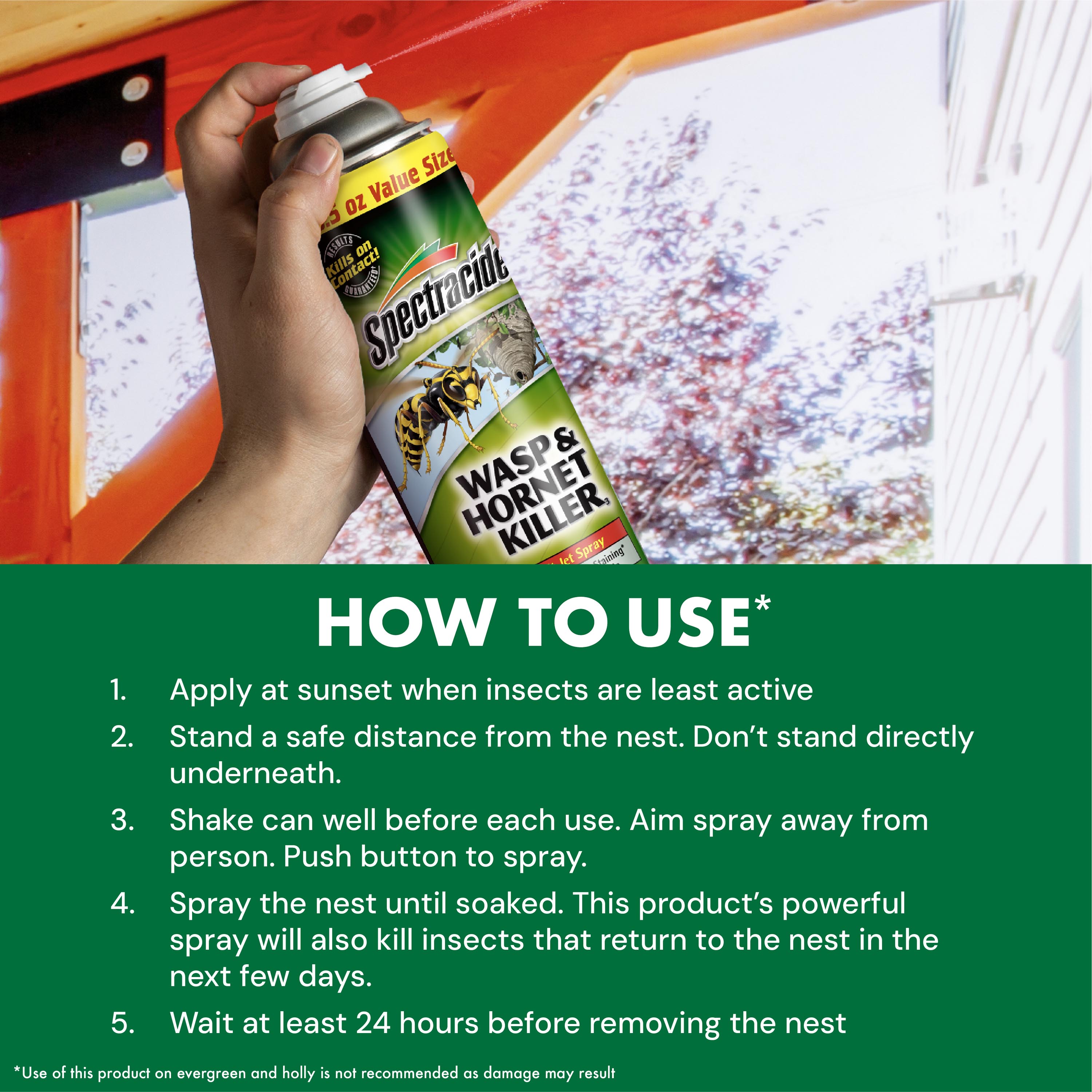 Spectracide Wasp & Hornet Killer Aerosol, 2-Pack photo 4