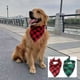 thumbnail image 3 of Bienvenido Bufanda doble de algodón a cuadros para mascotas para perros y gatos cómoda toalla para saliva, 3 of 5