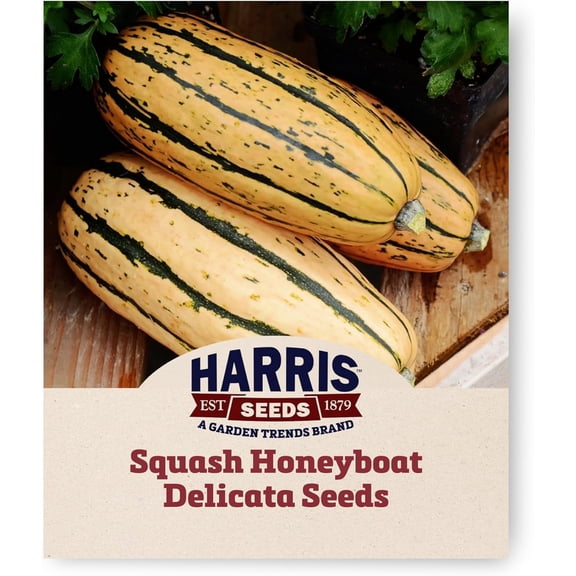 Harris Seeds - Organic Honeyboat Delicata Winter Squash Green Stripe - 250 Seeds