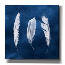 Epic Graffiti 'Cyanotype Feathers II' by Grace Popp, Canvas Wall Art, 18"x18"