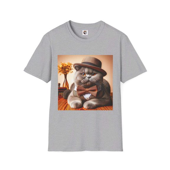 British Shorthair Domestic Cat