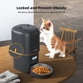 thumbnail image 3 of Dispensador automático de comida para gatos Yuposl 4L cronometrado de 1 a 6 comidas, 3 of 5