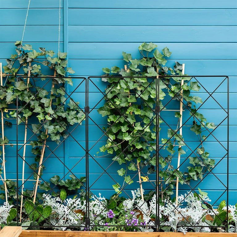 Verdanverse garden Climbing frame Plant Climbing Rack Iron Plant Commercial Use 5pcs