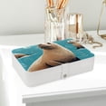 thumbnail image 6 of Sea Lion PU Leather Jewelry Box with Removable Compartment and Earring Holder, Portable Travel Organizer, 6 of 6