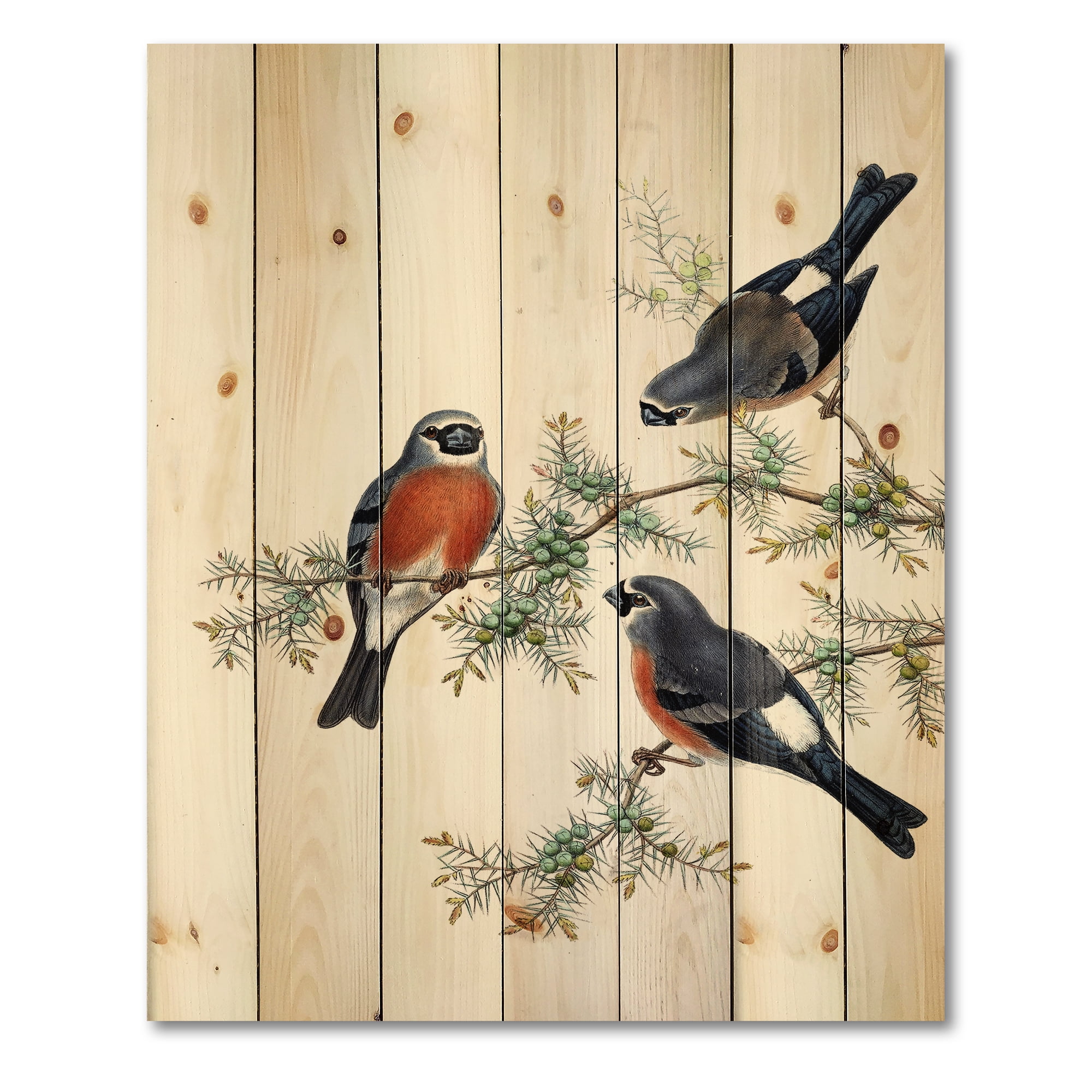 Designart 'Vintage Countryside Birds On Branch III' Farmhouse Print on Natural Pine Wood