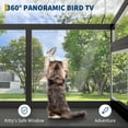 thumbnail image 4 of Cat Window Box with Clear Panels, Universal Indoor/Outdoor Catio for Windows 24"-38", Weatherproof Wood Cat Window Perch for Sunbathing, Birdwatching & Napping, 4 of 8