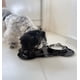 thumbnail image 2 of 2 Tazones para Perro en Acero Inoxidable con Tapete Antideslizante, 2 of 5