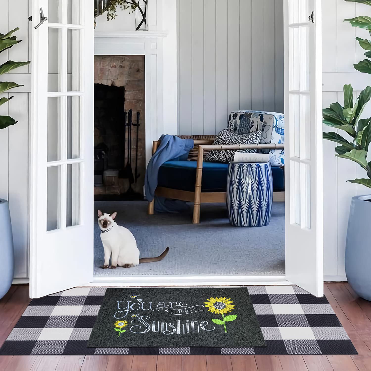 Naturalour Funny Doormat Indoor/Outdoor/Front Door Mats Home Decor
