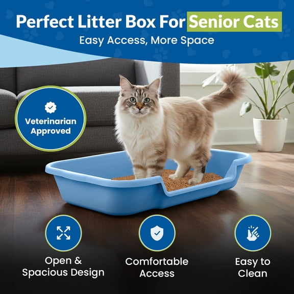 KittyGoHere Senior Cat Litter Box, 1 Large Blue, Low Entry Litter Box for Cats & Kittens, Made in USA – Open Top, Cat Supplies for Senior Cats, Arthritis or Mobility Issues