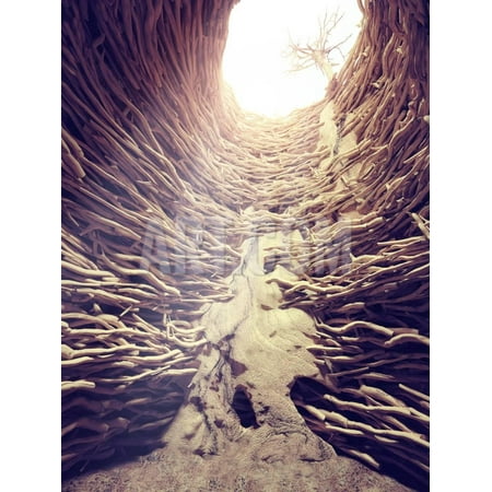 - Nora, Braided Tree Roots and Sun Light Print Wall Art By viczast