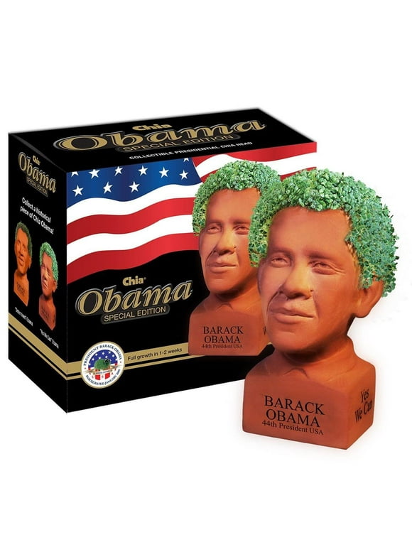 Chia Pet Plants in Indoor Plants