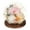 champagne, variant on Tnarru Day Gifts Preserved Flowers Gift Carnation Gifts Light up Carnation in Glass Dome for Mom Her Girlfriend Wife Grandma champagne