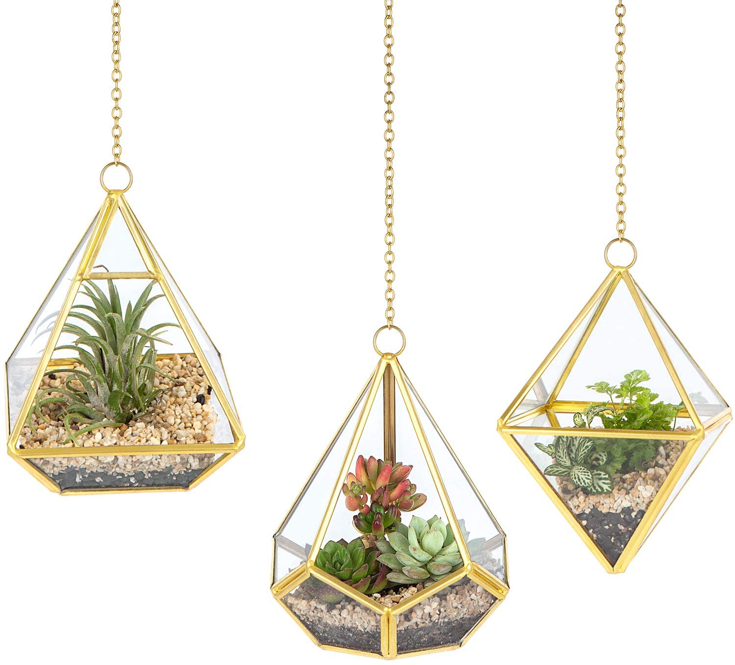 3 Pcs Small Hanging Glass Terrarium Geometric Container Vertical Modern