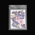 thumbnail image 4 of Uxcell 12 Pcs Dried Pressed Real Flowers Dry Leaves Pressed Bloom for DIY Crafts Purple 5.12 inches x 3.54 inches, 4 of 6