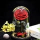 thumbnail image 2 of Rose That Lasts Eternal Forever Preserved Flower in Glass Dome Lamp for Valentine's Mother's Day Gi, 2 of 5