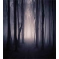 thumbnail image 3 of Forest Duvet Cover Set, Path in Dark Deep Woodland Fog Halloween Creepy Twisted Branches Picture, Decorative 2 Piece Bedding Set with 1 Pillow Shams, Twin Size, Dark Grey Purple, by Ambesonne, 3 of 3