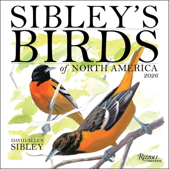 Sibley's Birds of North America 2026 Wall Calendar, (Paperback)