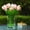 pink, variant on ENOVA FLORAL 20 Heads White Tulips Real Touch Artificial Flowers in Vase, Fake Tulips Flowers with Vase and Faux Water for Dining Table Decoration