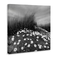 thumbnail image 4 of Stupell Industries Sand Daisies on Hill Landscape Photography Gallery Wrapped Canvas Art Print Wall Art, 24 x 24, 4 of 8