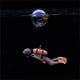 thumbnail image 4 of Nueva resina flotante Diver pecera decoración flotante bajo el agua conjunto mundo submarino pequeña bola flotante, 4 of 4
