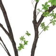 thumbnail image 3 of GDF Studio Monadnock Artificial Enkianthus Tree, 10' x 6.5', 3 of 11