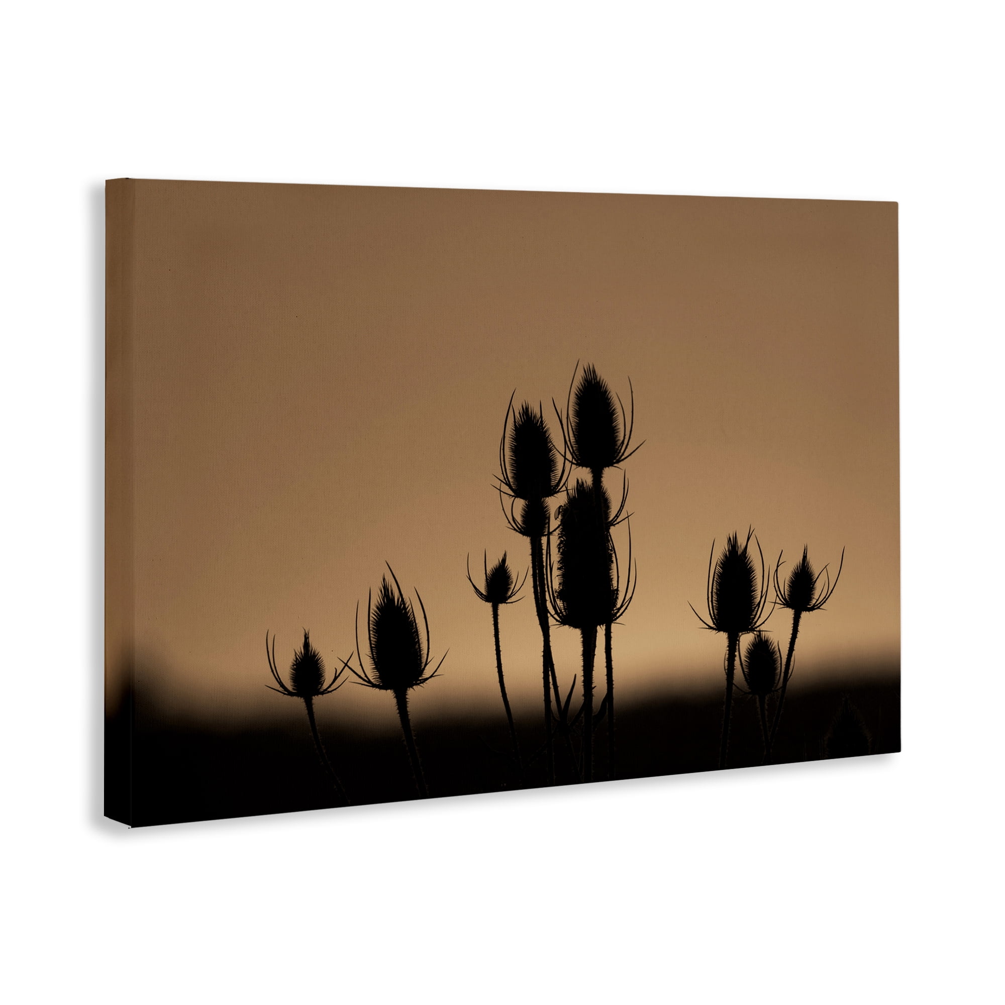 Stupell Industries Botanical Sprigs Silhouettes Plants & Flowers Photography Wrapped Canvas Art Print Wall Art, 24 x 16