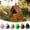 Black, variant on Bird Feeder House - Open Design Hanger with Top Hook | Hut Shape Hangable Wild Bird Feeders | for Outside Garden Balcony Winter Squirrel