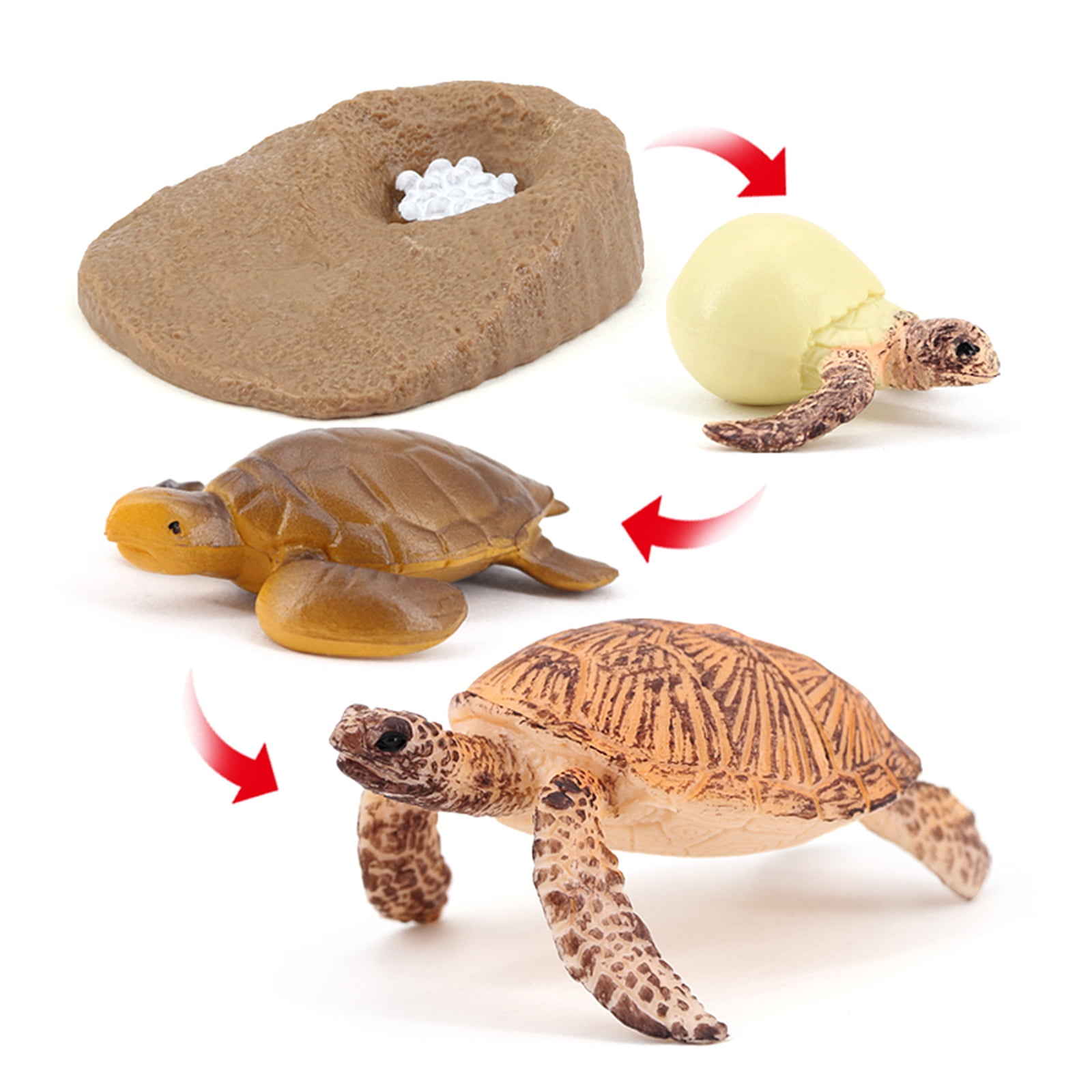 Simulation Sea Animal Turtle Life Cycle Kids Child Learning Imagination Toys 