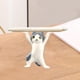 thumbnail image 3 of Escultura de estatua de gato Zulema gatos lindos baile acción decoración Gris blanco 3x5,5 cm, 3 of 8