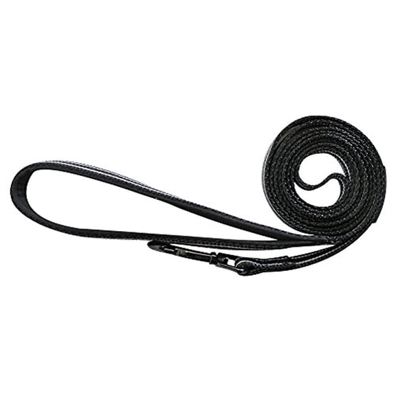 alcott Adventure Dog Leash, Black, 6-ft. Long, 5/8-in. Wide