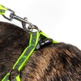 thumbnail image 3 of Pet Life ® 'Easy Tension' Reflective Stitched Adjustable 2-in-1 Pet Dog Leash and Harness, 3 of 5