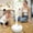 White, variant on Emdiqzs Portable Humidifier, Home Essentials Air Care Mini Mobile Humidifier, USB Humidifier for Home Office, White, Orange, Black