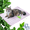 Pink, variant on Dog Cooling Mat, Pet Ice Silk Cooling Mat for Indoor Outdoor, Soft Comfortable ICY Nap Mat for Small Medium Large Pets