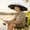 Gray, variant on 27 Inch Travel Umbrella Hat, Fishing Cap with Sunscreen Rainproof, Foldable Hands Free Sun Hat for Outdoor Travel Hiking