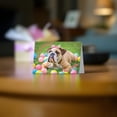 thumbnail image 4 of Glory To Dog It's Your Birthday Have a Ball English Bulldog 7-by-5 inch Birthday Card with Mailing Envelope, 4 of 8