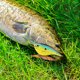 thumbnail image 4 of Swimbait Crankbait Cebo Duro Artificial VIB Fishing Lure 8cm 21 G Casting Largo para Lubina Y Lucio, 4 of 6