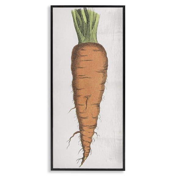 Stupell Industries Cottage Detailed Carrot Study Black Framed Giclee Art, 10 x 24, by Lil' Rue