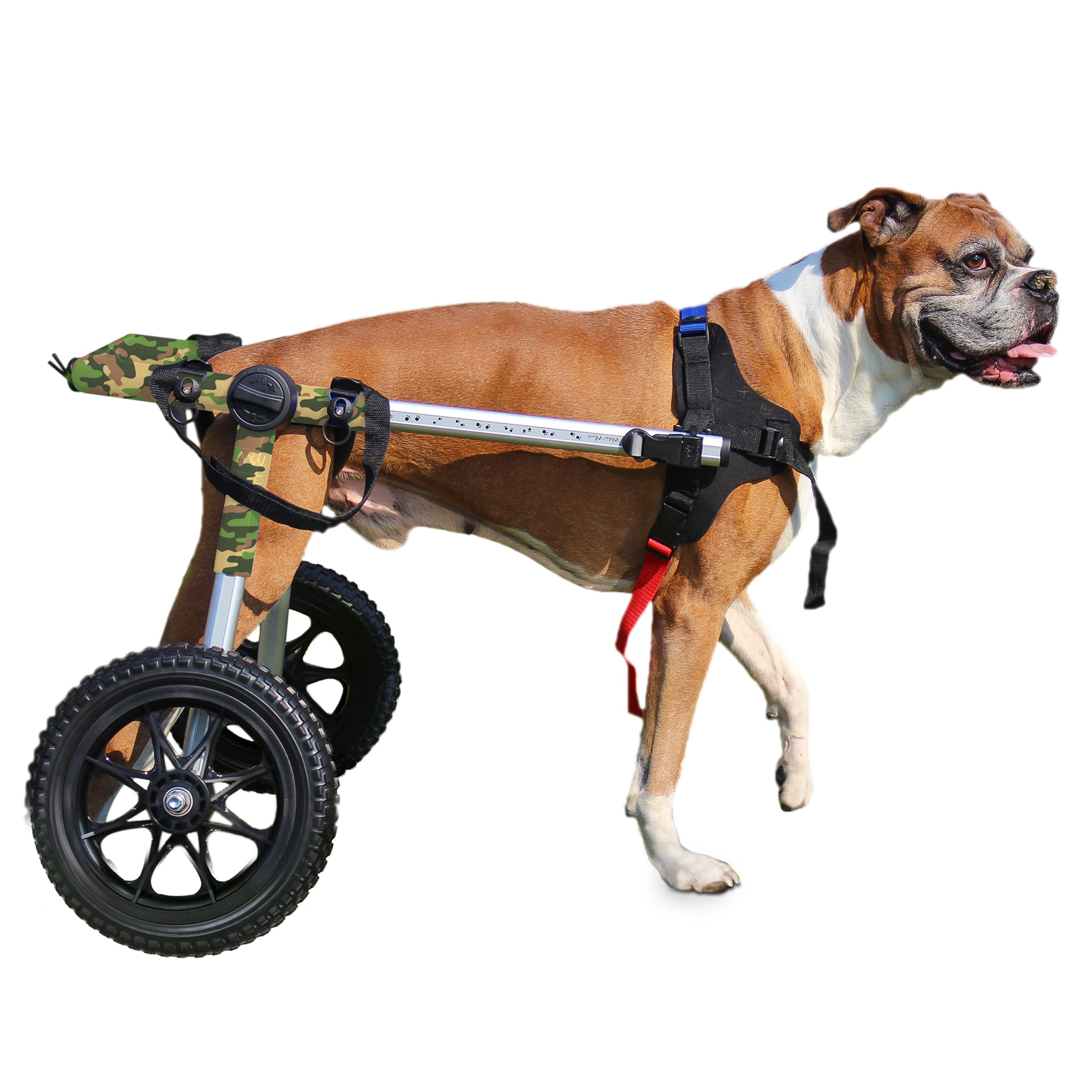 Camo Dog Wheelchair for Med/Large Dogs 5069 Pounds